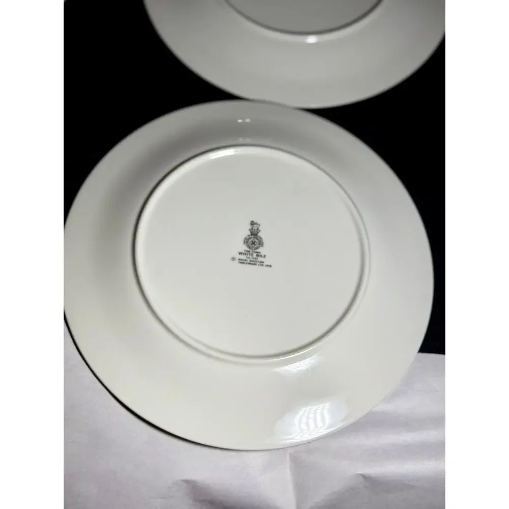 Royal Doulton White Nile TC1122 8
